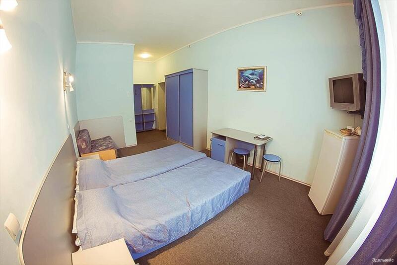 Фото Эдельвейс