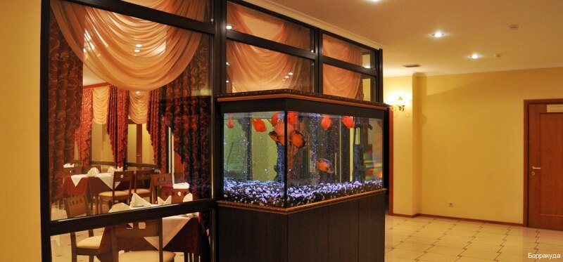 Фото Барракуда на Менделеева