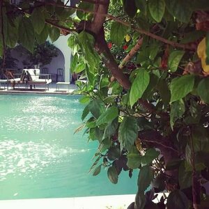 Гостиница Hotel & Restaurant Arischa