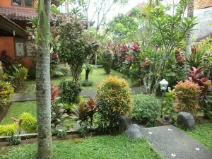 D. Ayu Guest House and SPA - 5