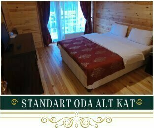Гостиница Abant Kartal Yuvasi Hotel в Дюздже