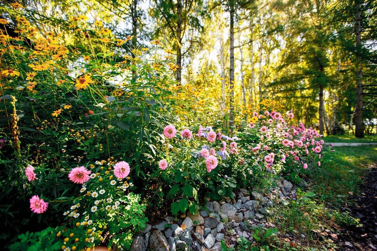 Фото Зотино