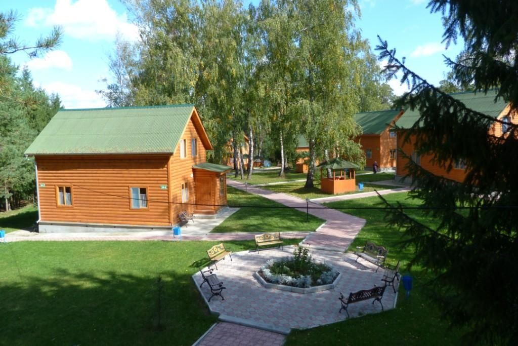 Фото Берёзовая роща