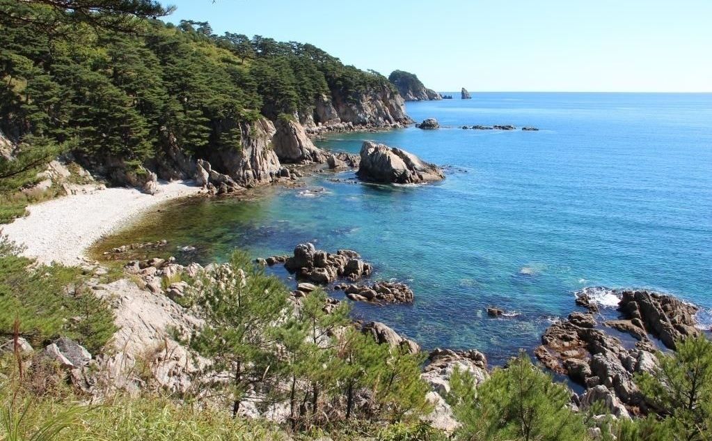 Фото Береговая