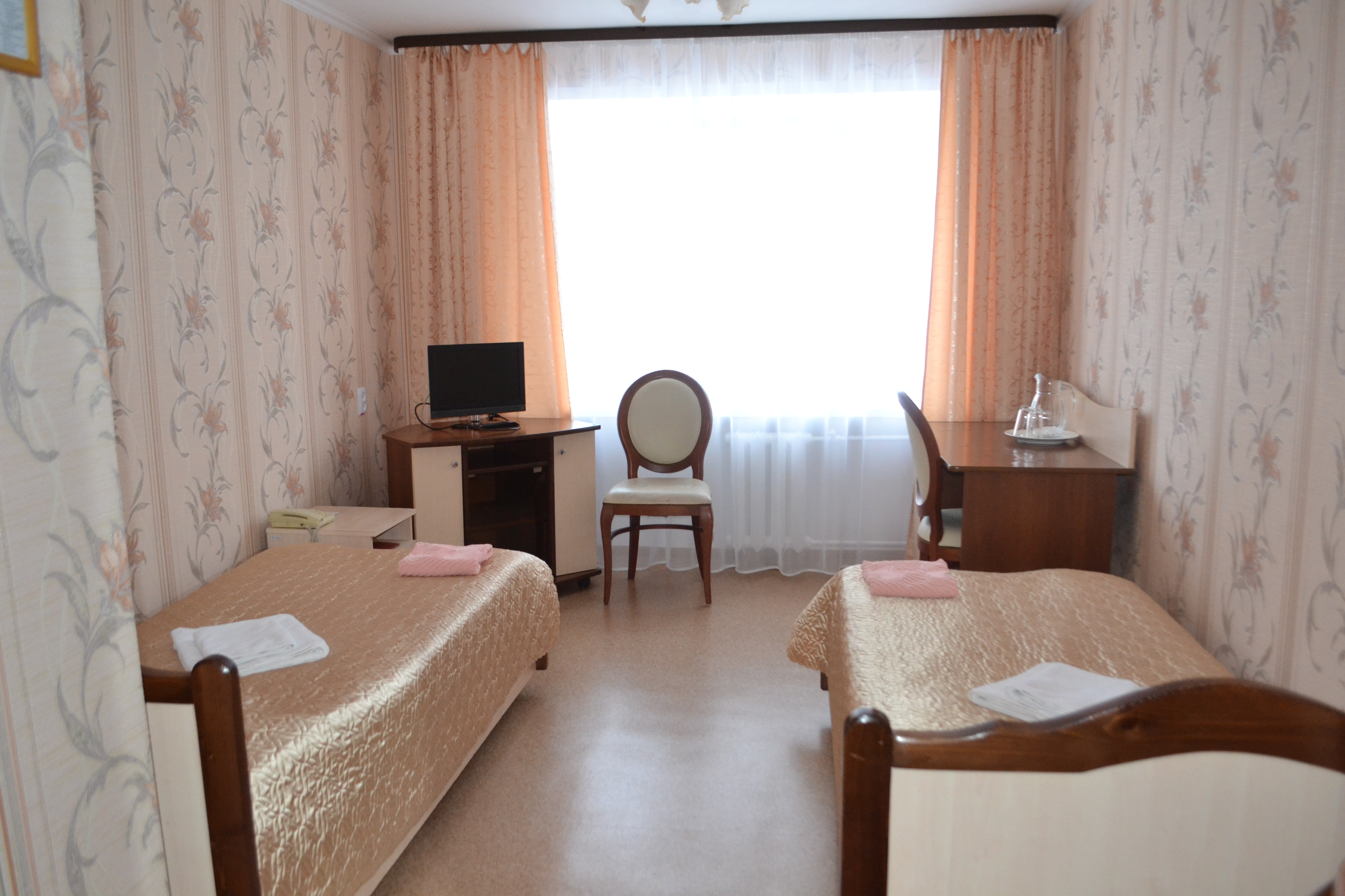 Фото Спутник