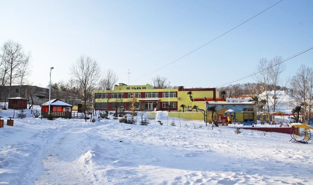 Фото Лесная поляна