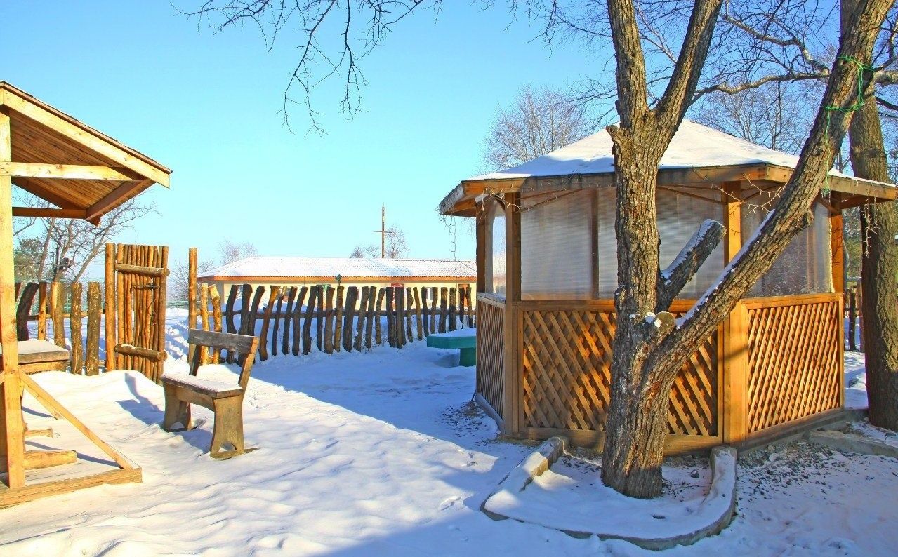 Фото Лесная поляна