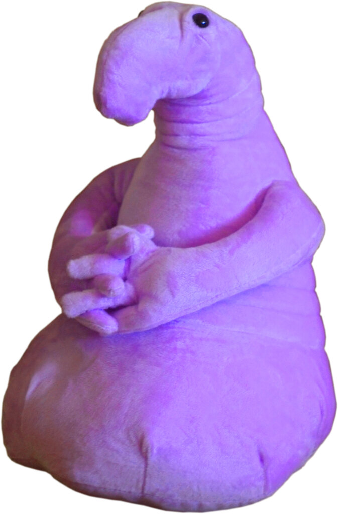 Магазин Игрушек Ждун
