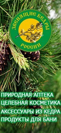 Магазин Кедр Соликамск Официальный Сайт Цены