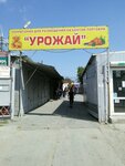 Territoriya dlya razmeshcheniya obyektov torgovli Urozhay (Cherepovetskaya Street, 27), sale and lease of commercial real estate