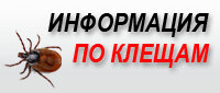 Дезинфекция, дезинсекция, дератизация Эко Сервис, Ярославль, фото