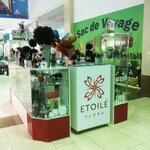 Etoile Flora (Revolutsionnaya Street, 128), tienda de regalos y souvenirs