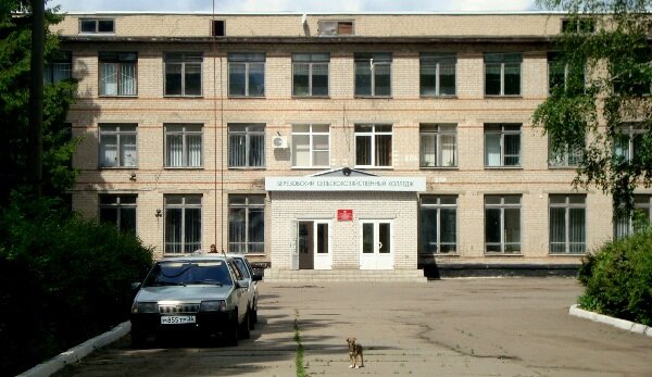 Administration Administratsiya Berezovskogo selskogo poseleniya Ramonskogo rayona, Voronezh Oblast, photo