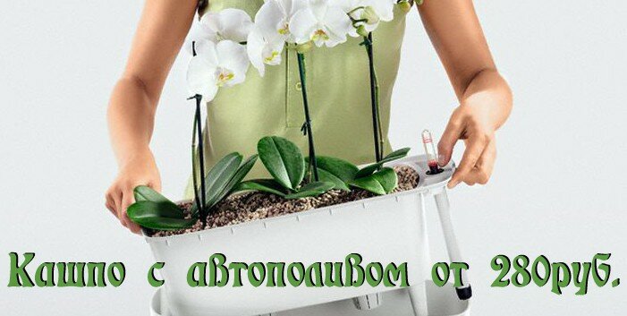 Магазин Семена Томск