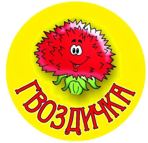 Детский сад № 9 Гвоздичка