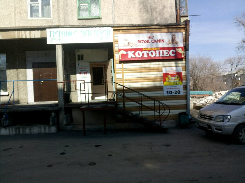Магазины Котопес Саратов