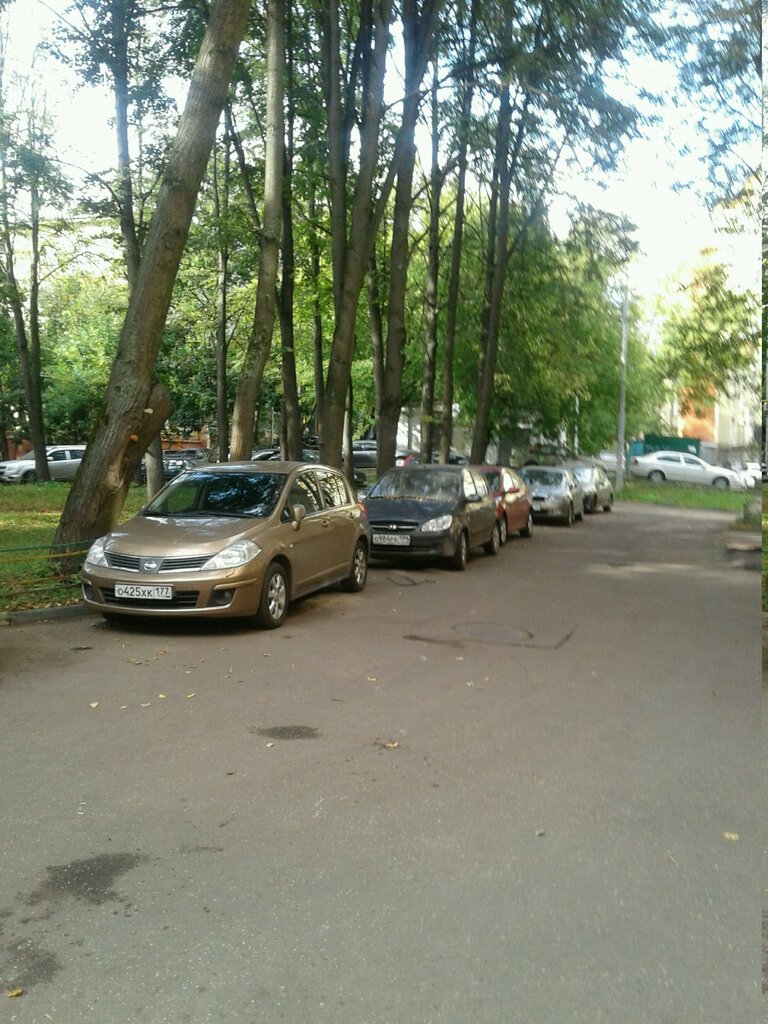 Авто спа мещерское
