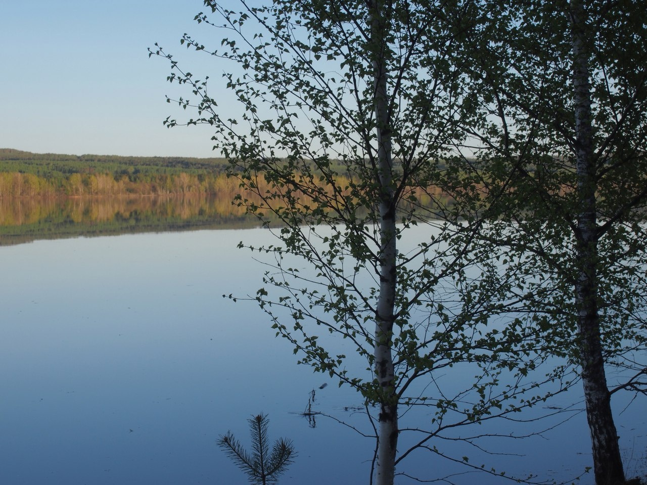 Фото Дивная усадьба