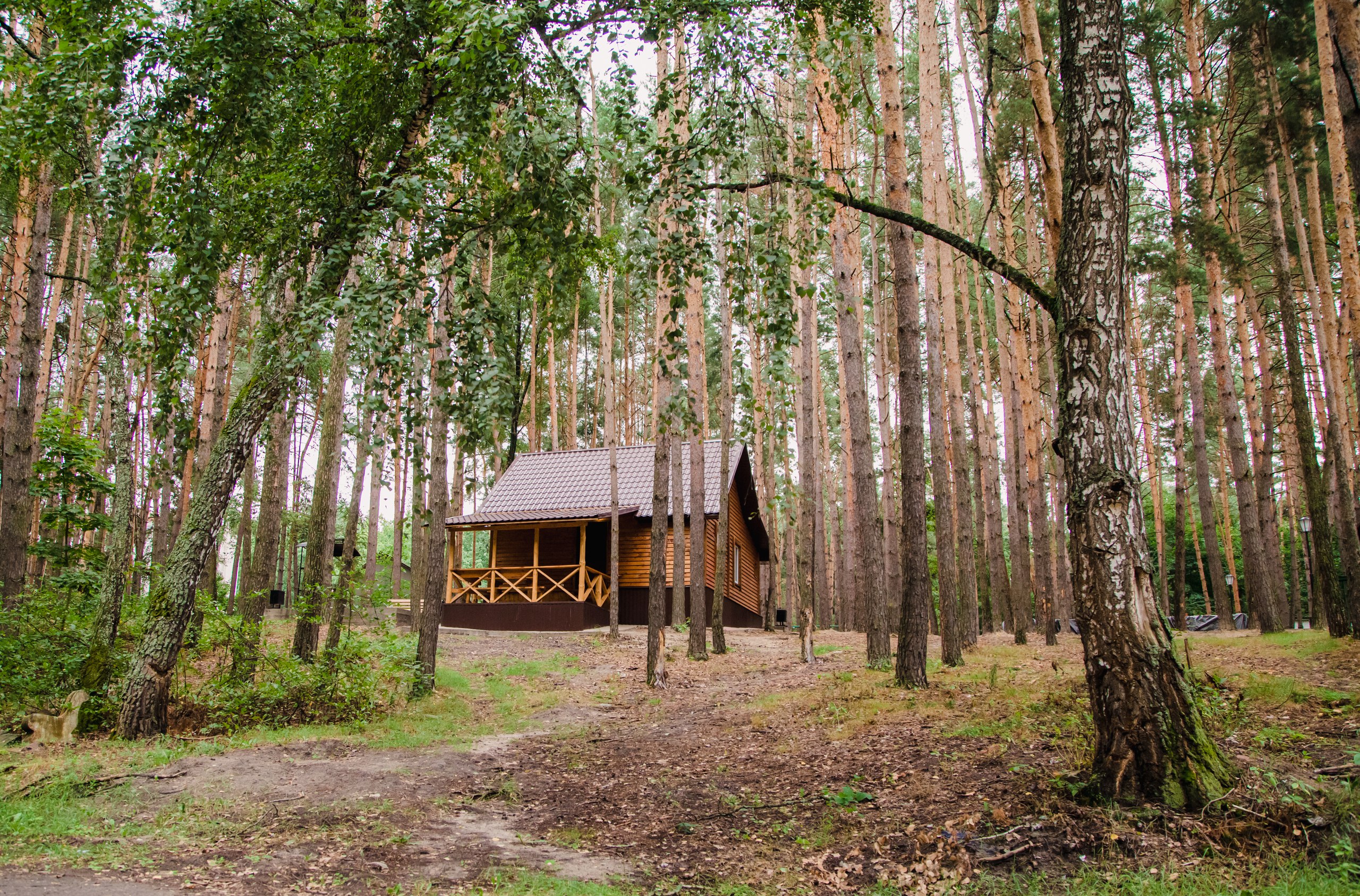 Фото Рахоль