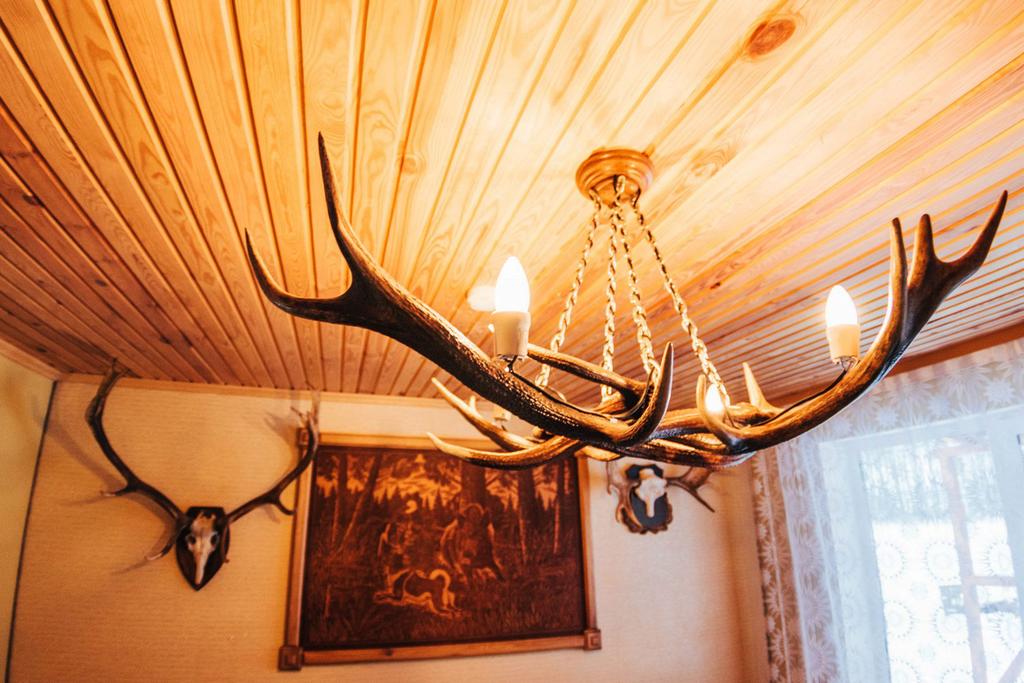 Фото Агроусадьба Мечта в Беловежской пуще