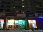 Masterskaya po izgotovleniyu klyuchey (Suzdalskiy Avenue, 5) ، ترميم مواد معدنية