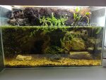 Akvariumny interet magazin Aquaden.ru (21-y mikrorayon, 3) ، مركز حديقة الحيوان