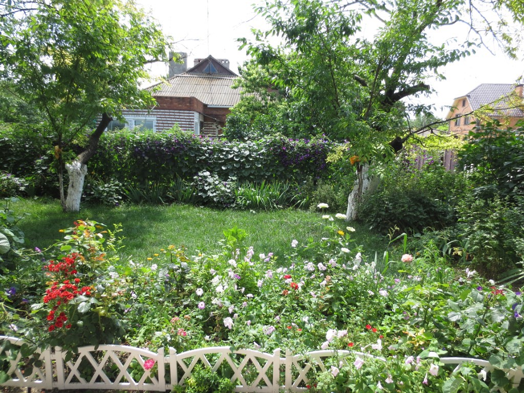 Фото Анастасия