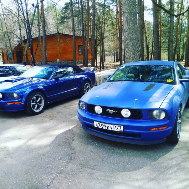 Фото Лесные пруды