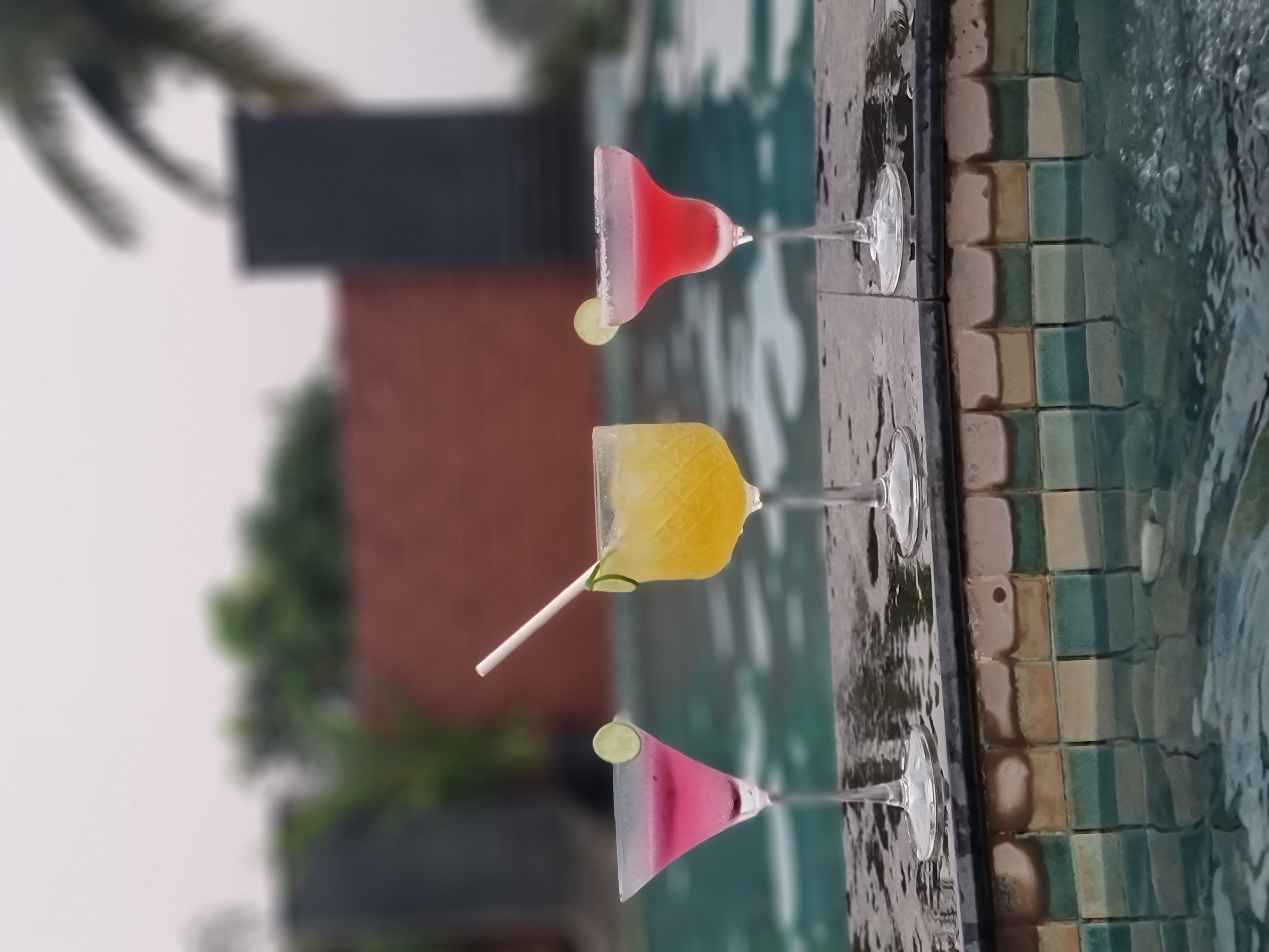 Фото The Acacia Morjim