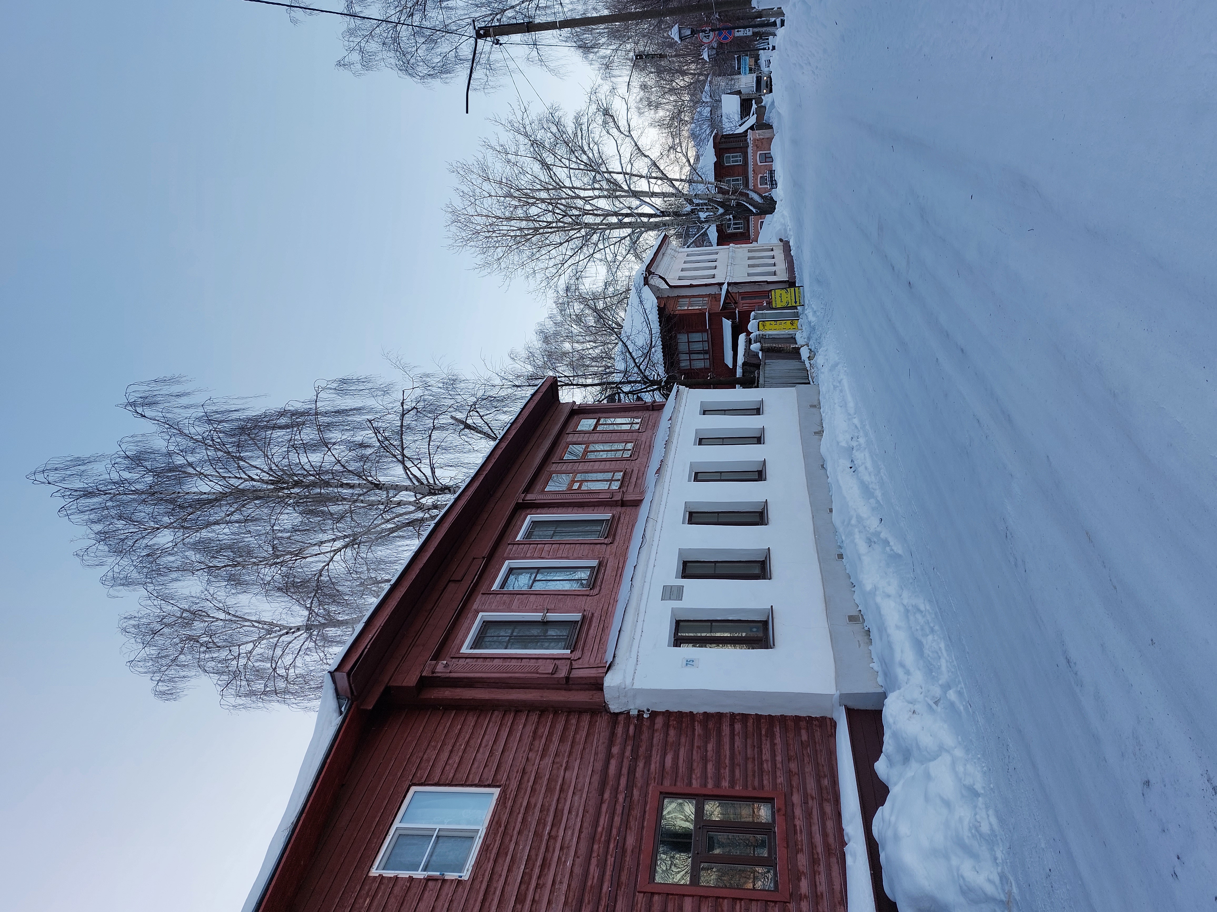 Фото Дом Шемякина