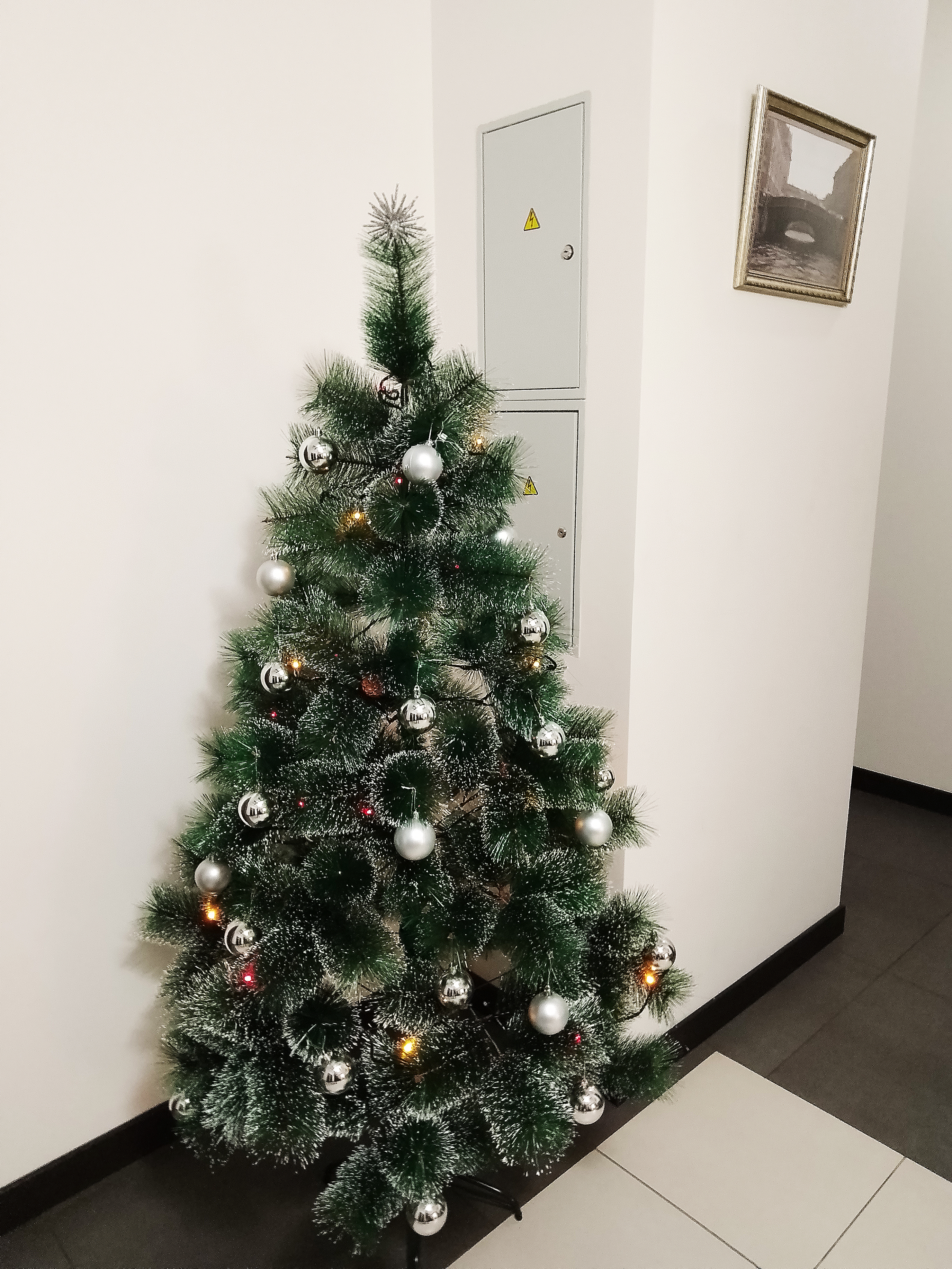 Фото Танский