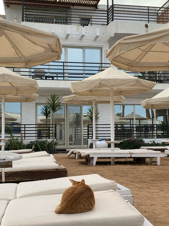 Фото La Rosa Waves Resort