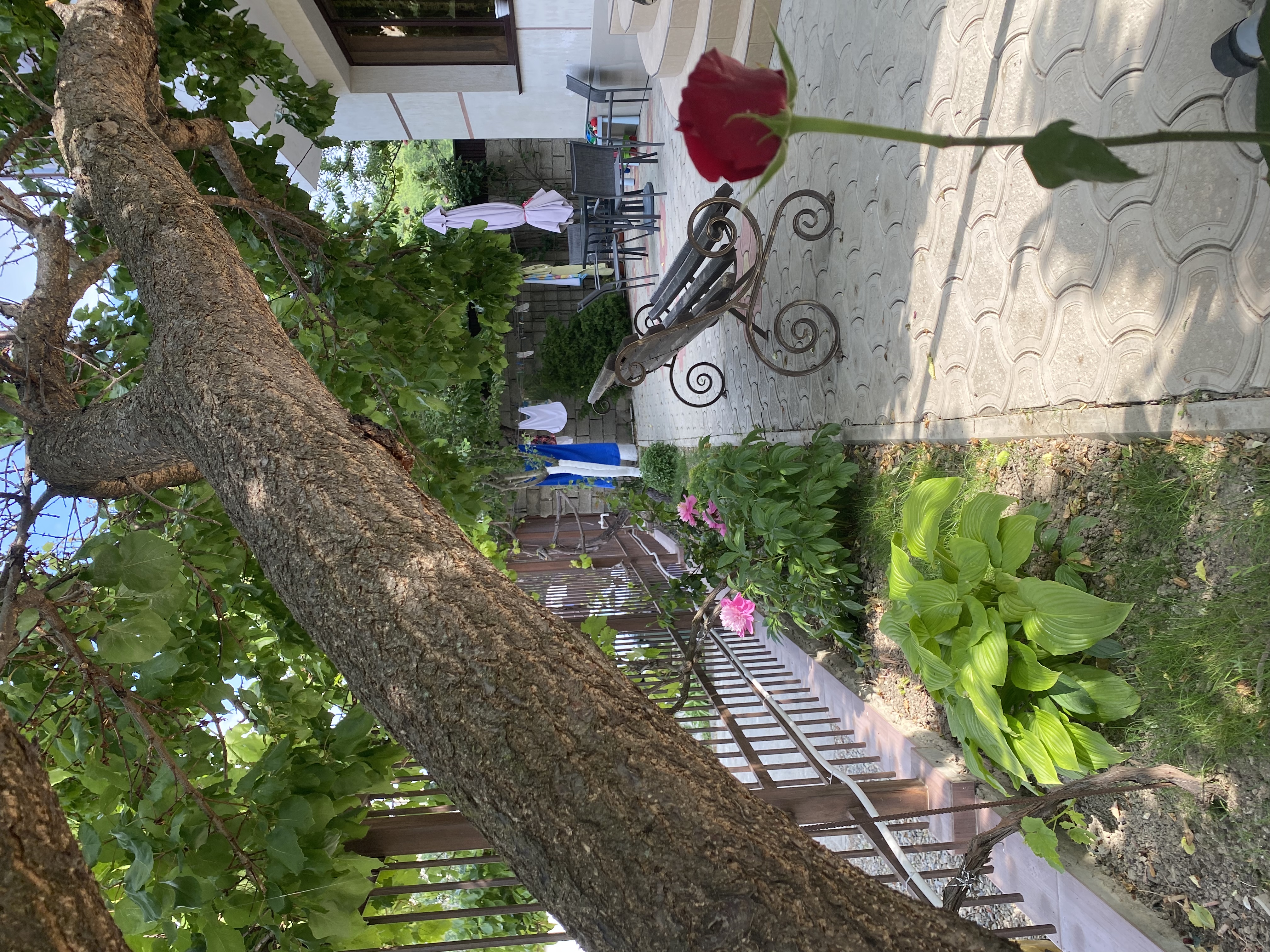 Фото Родничок