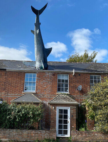 Atracción The Headington Shark, , foto