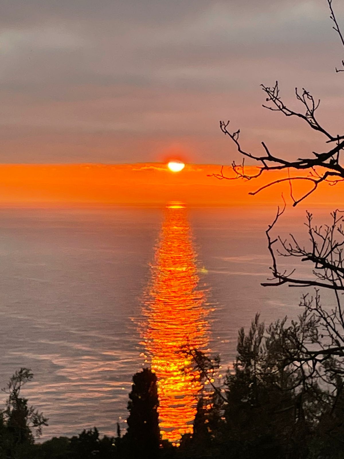 Фото Арт Прованс у моря