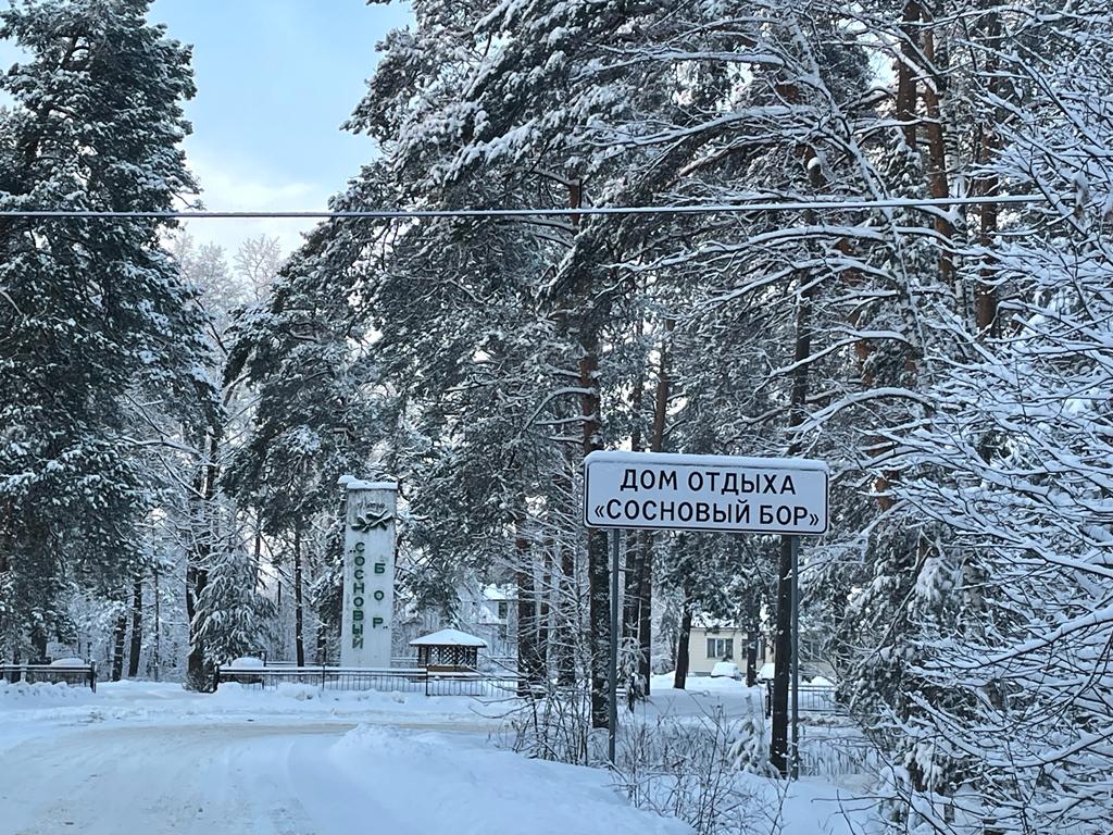 Фото Сосновый Бор