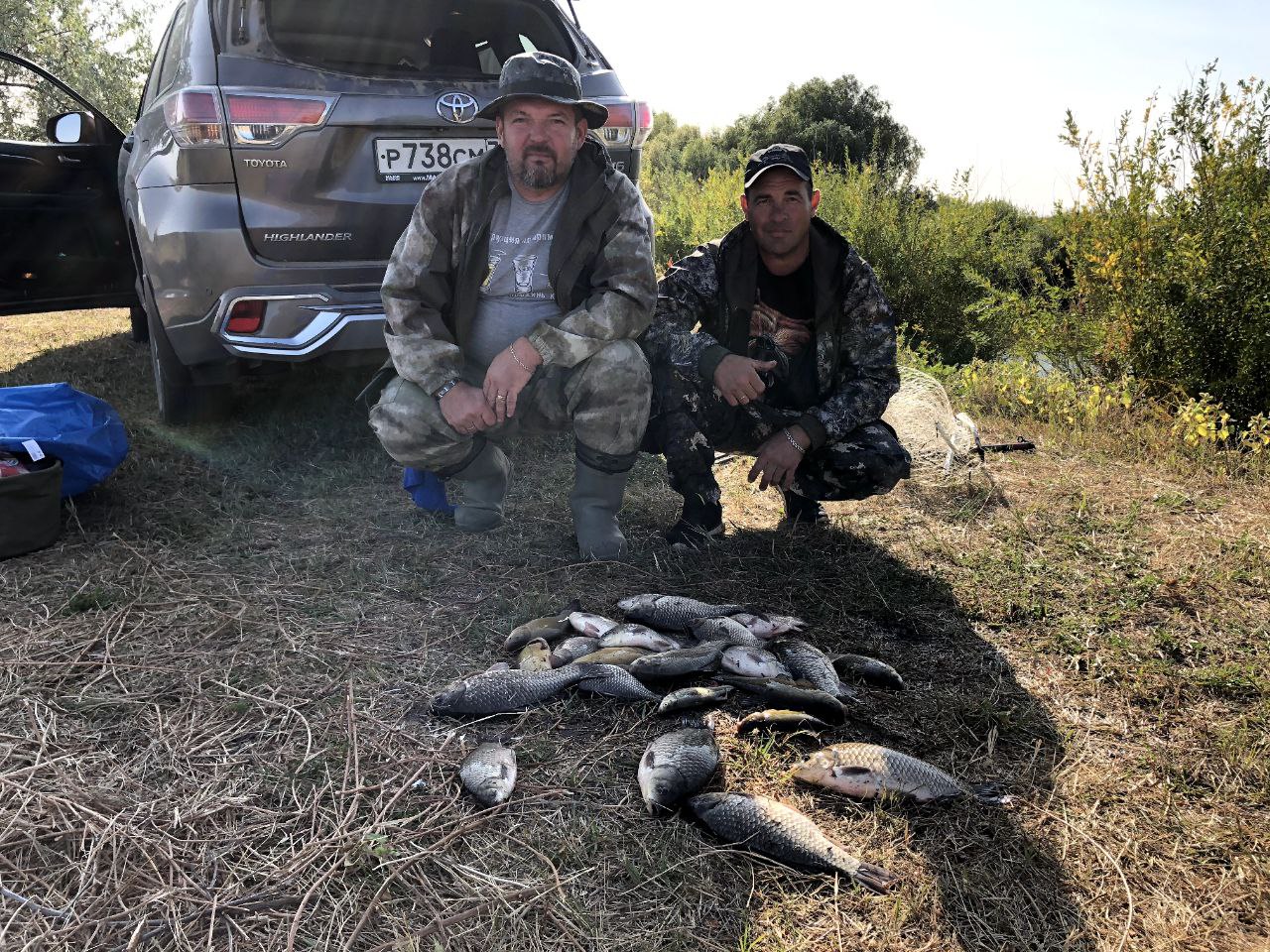 Фото Звезда