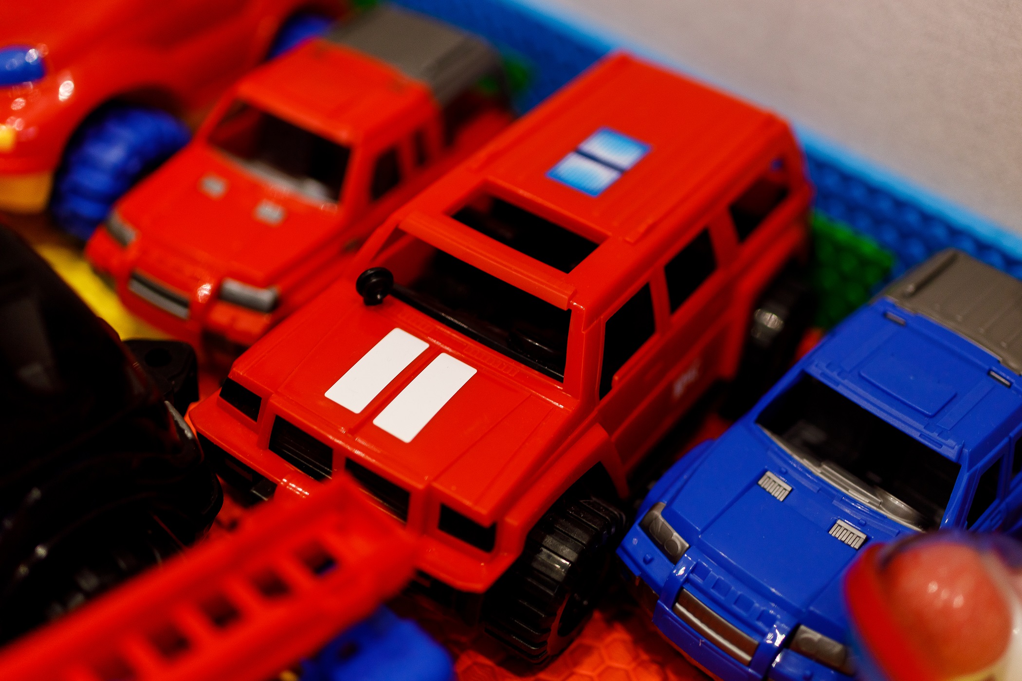 Фото Гризли