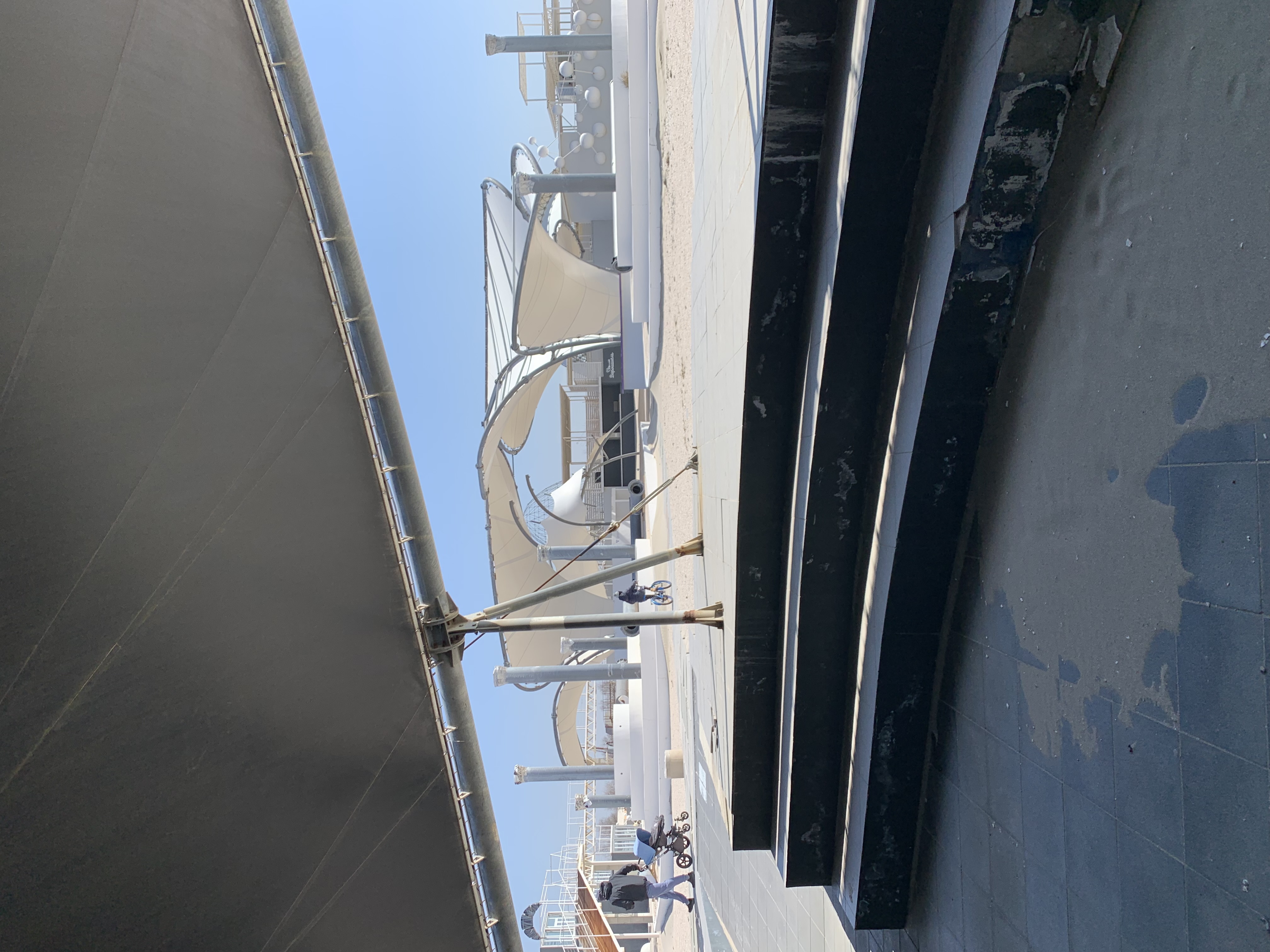 Фото Моркофка