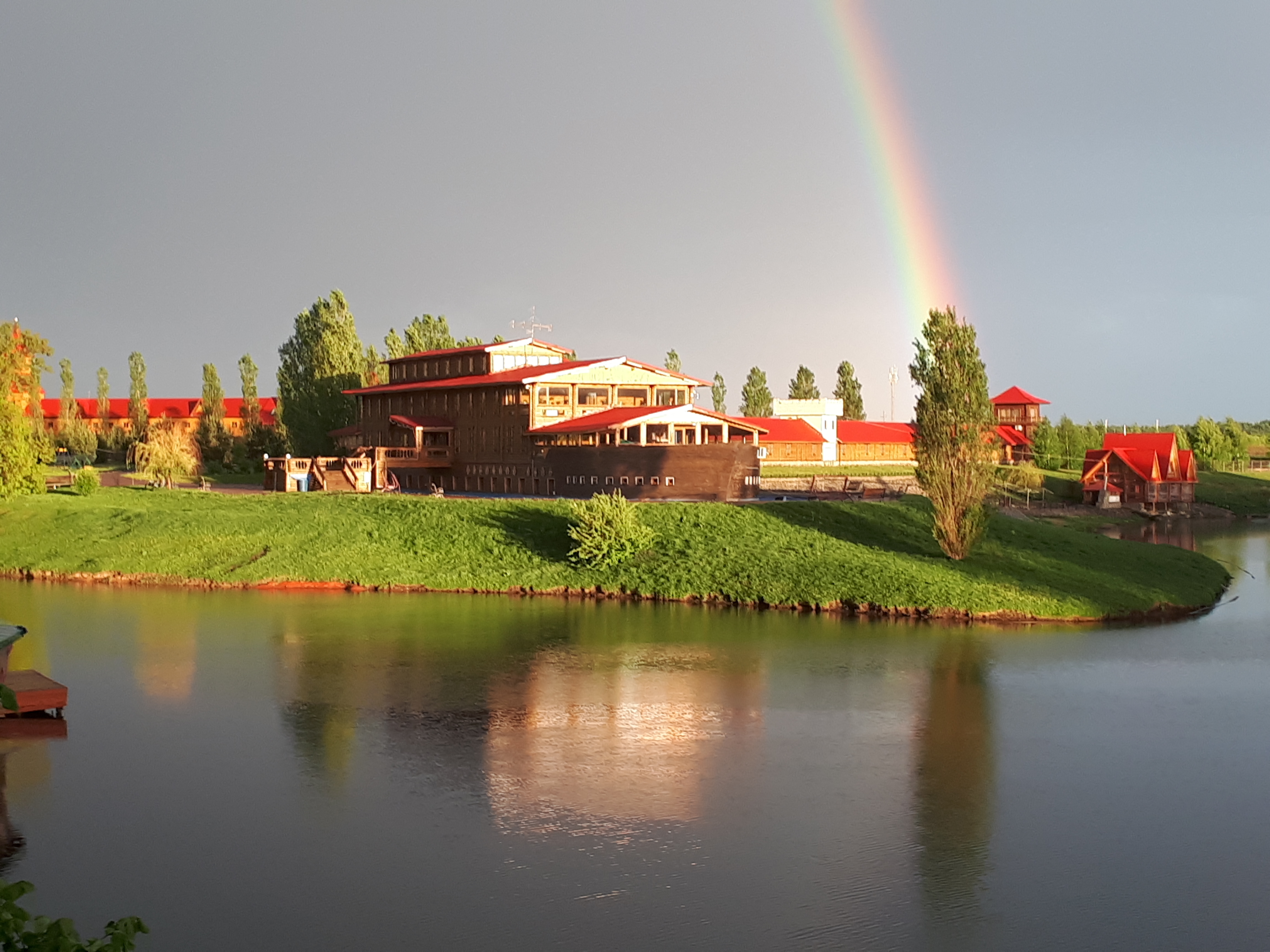 Фото Кленовая роща