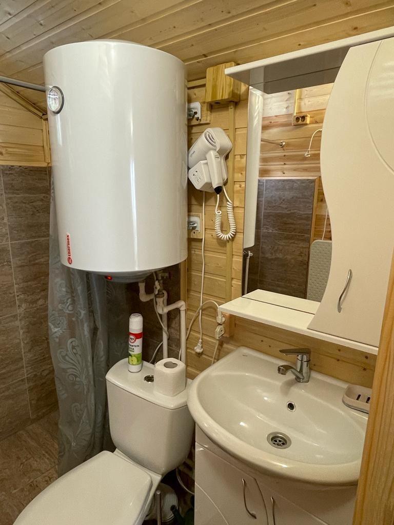 Фото Дикая Лошадь