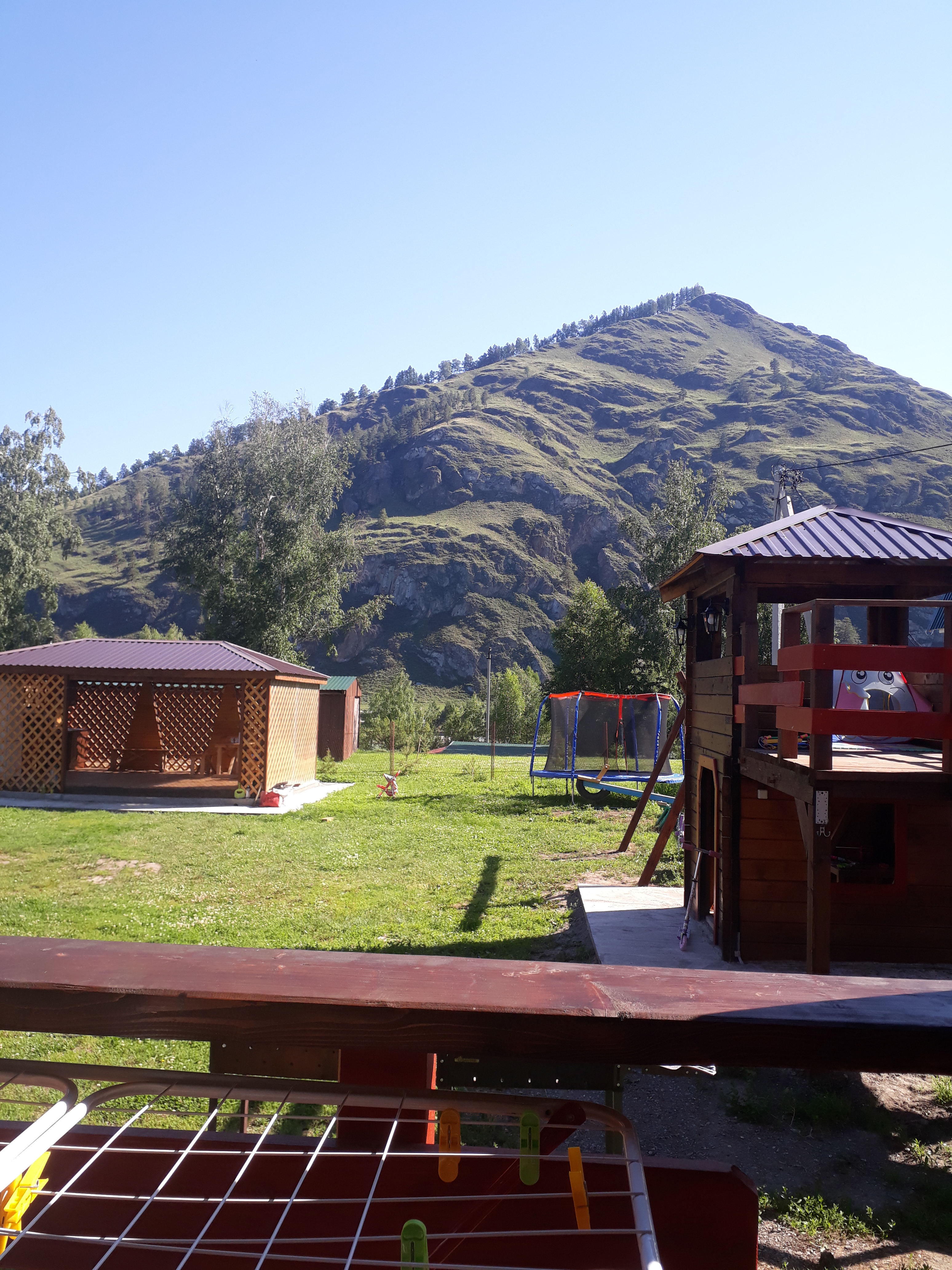 Фото Золотой медведь