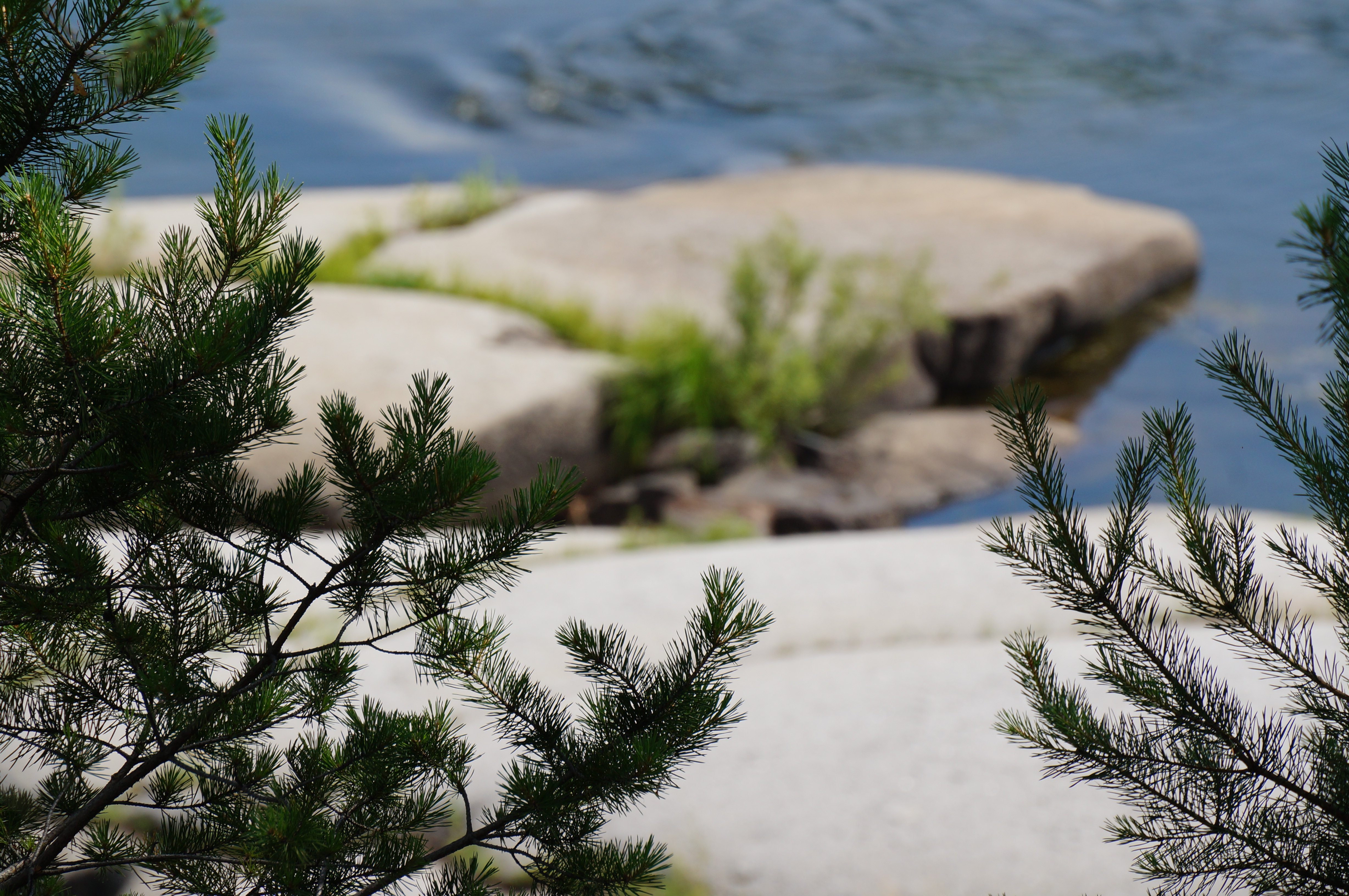 Фото Заимка Рыбная