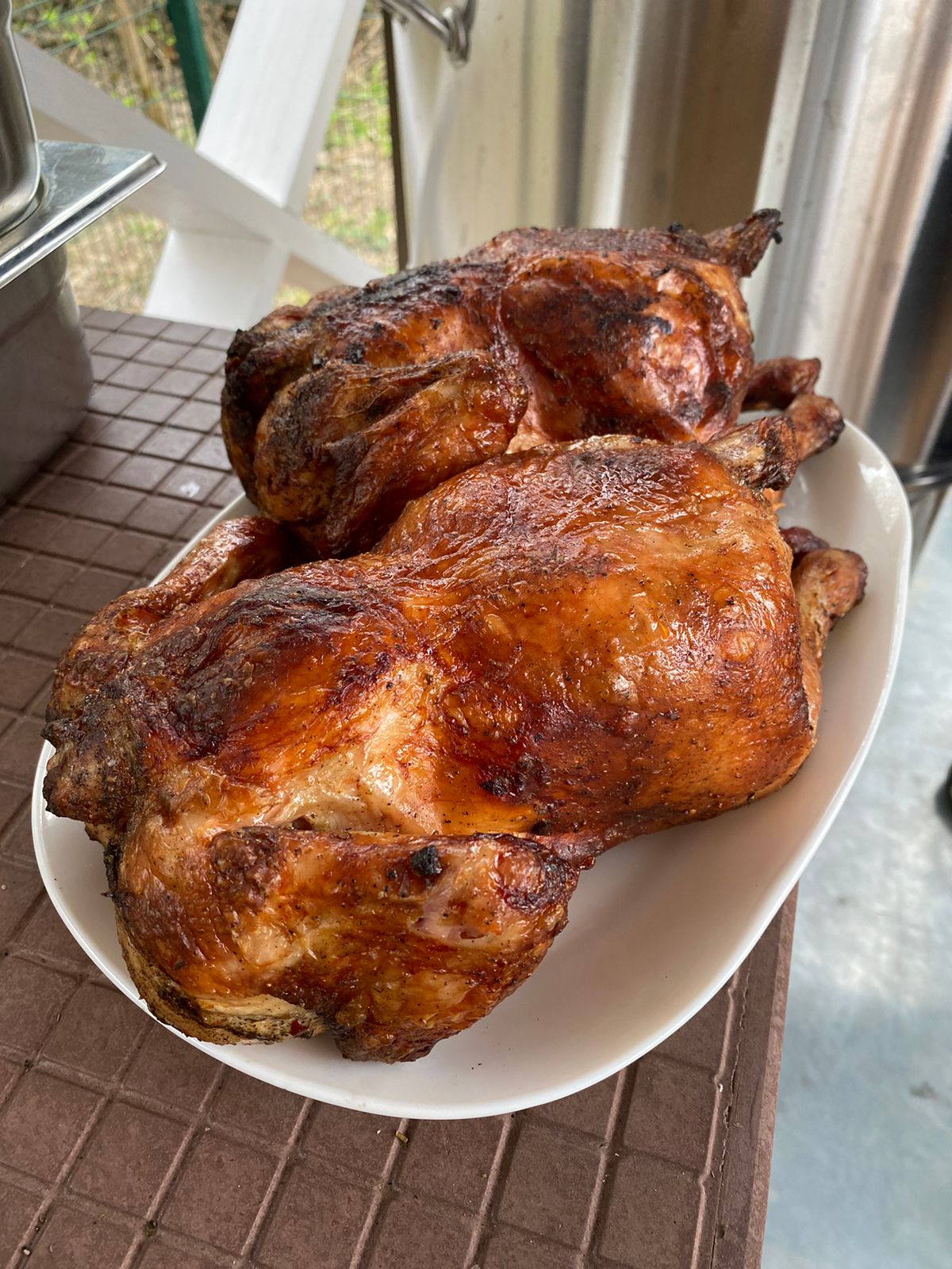 Фото Метелица