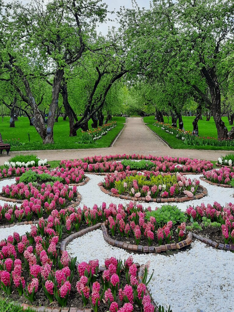 Garden Kazansky Garden, Moscow, photo