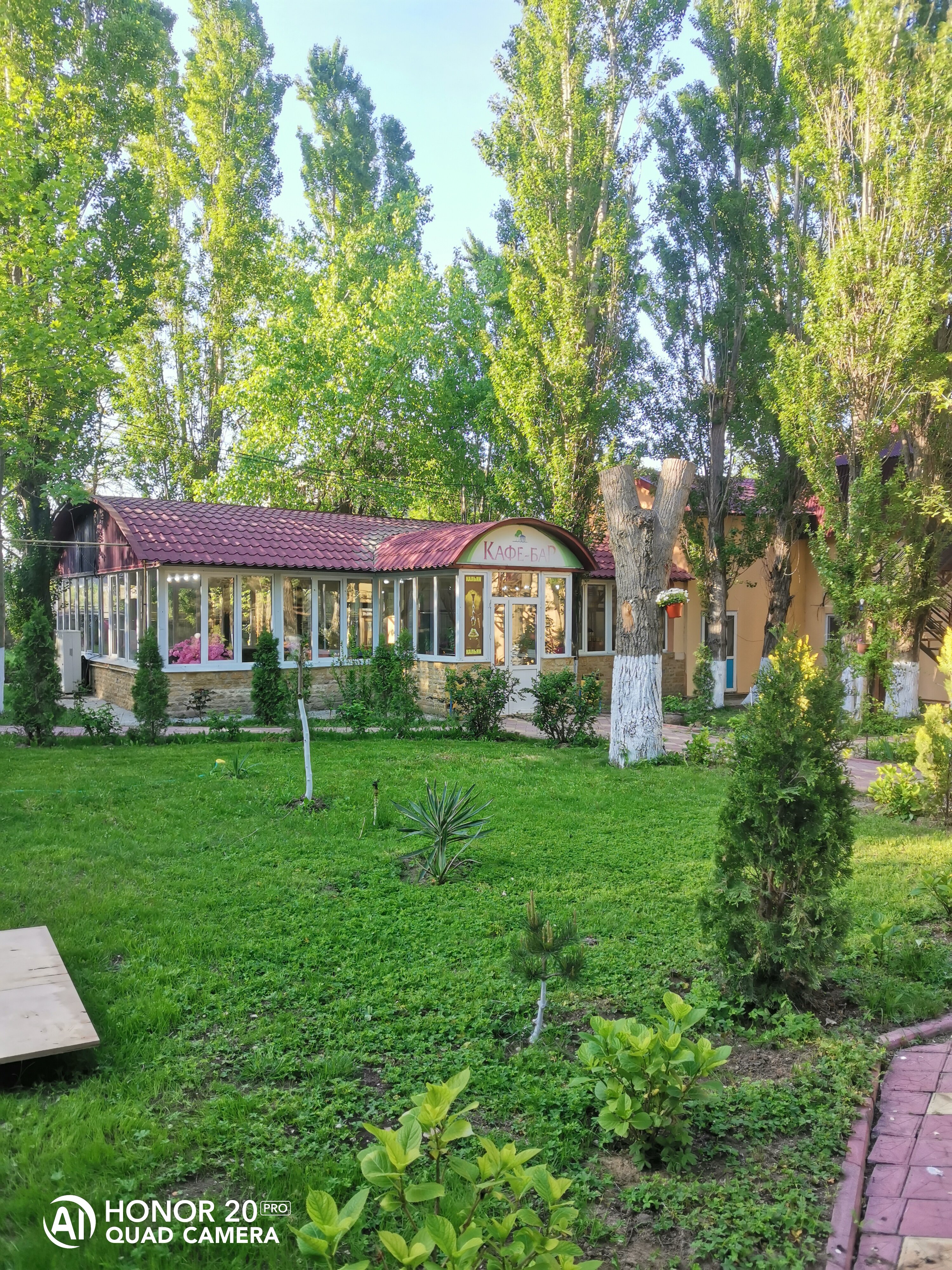 Фото Грин Вилл