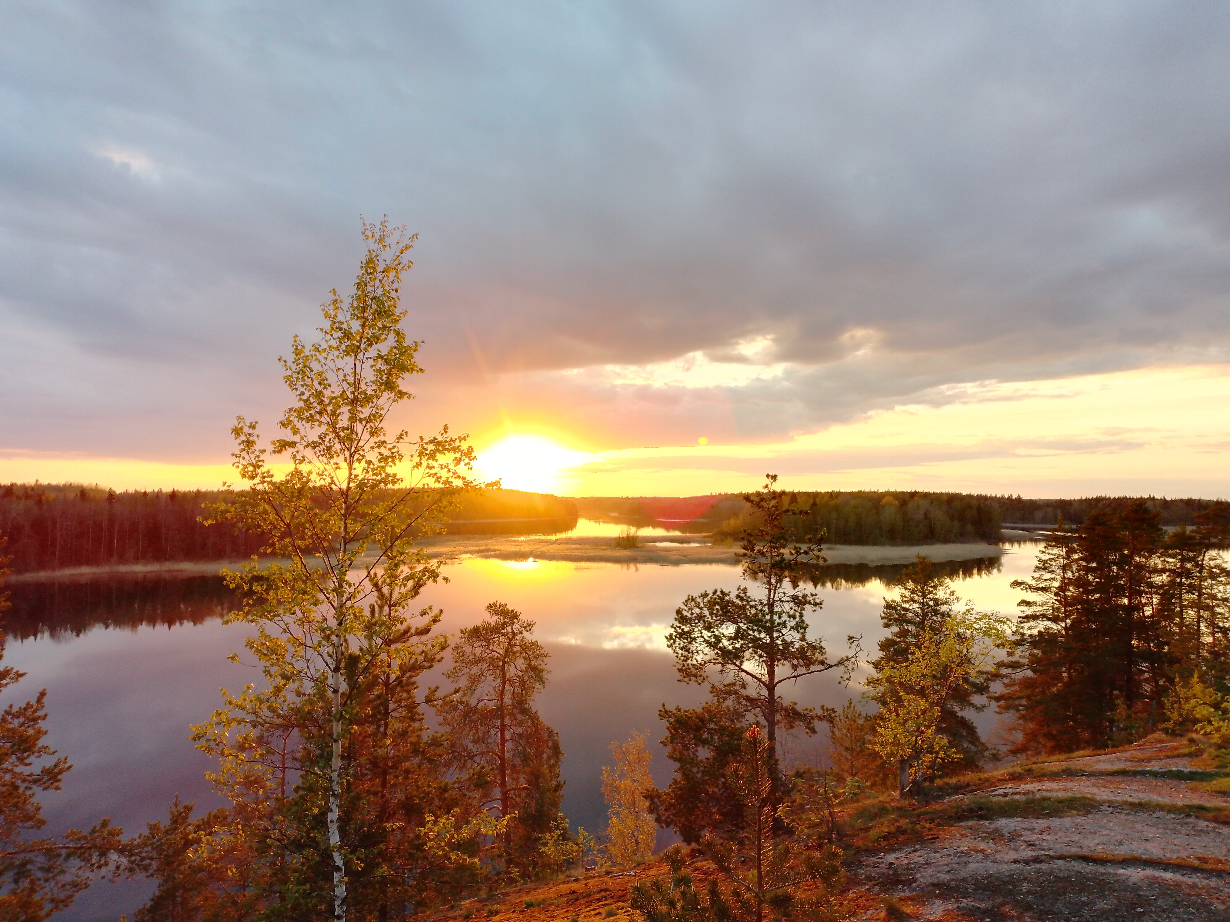 Фото Лесная сказка