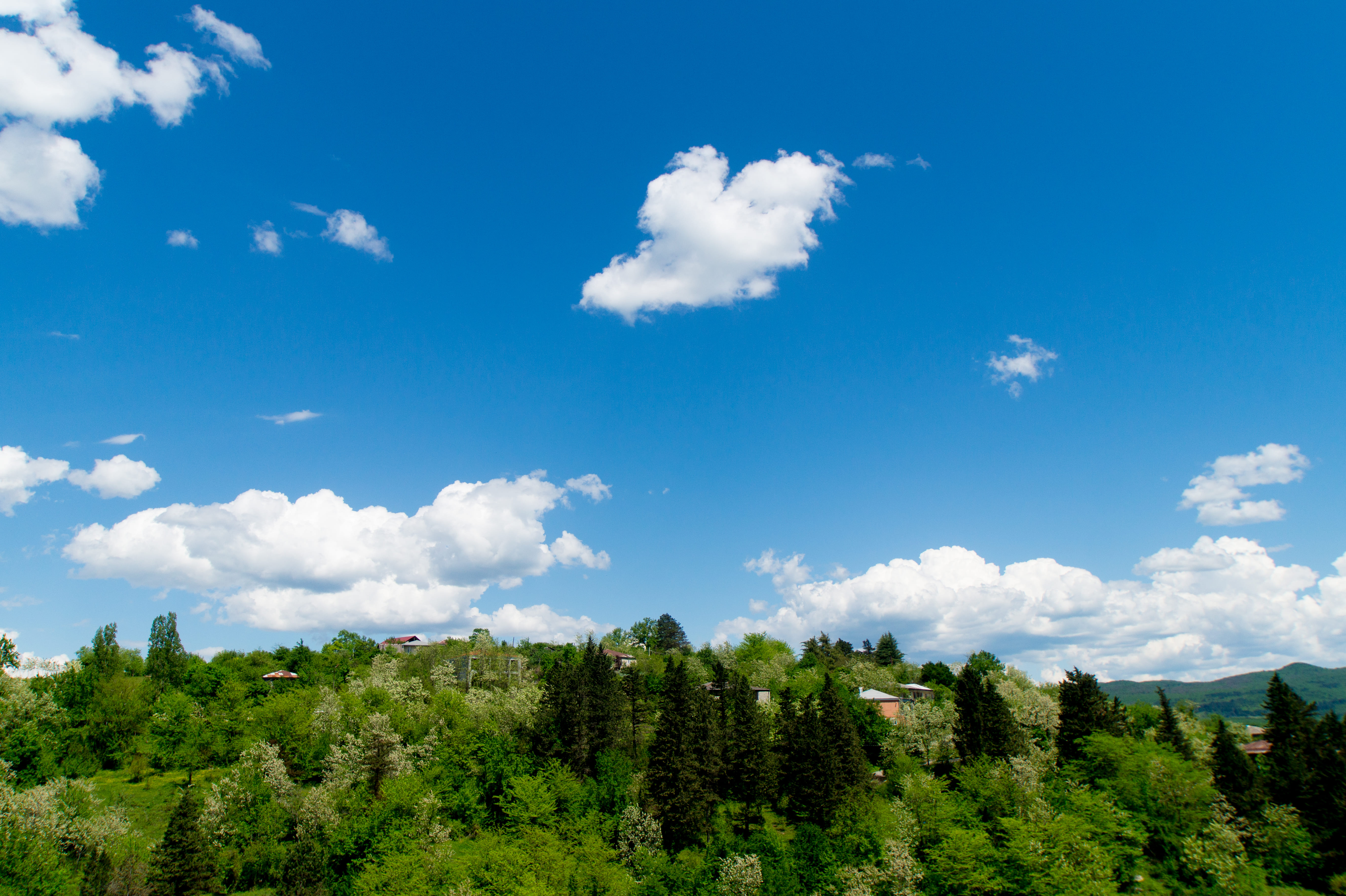 Фото Гостевой дом Bagrat