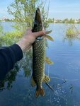 Magazin Rybak (Marshala Chuykova Street, 85), fishing gear and supplies