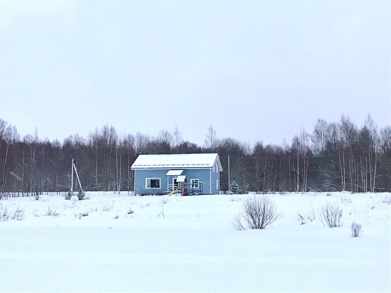 Фото Лаванда